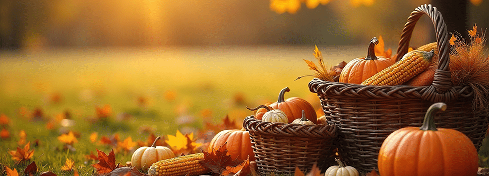 Sunset over baskets of gourds, pumpkins & corn